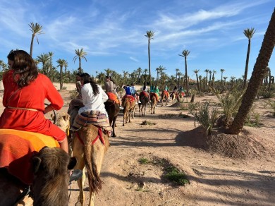 WhatsApp Image 2023-03-14 at 18.48.35