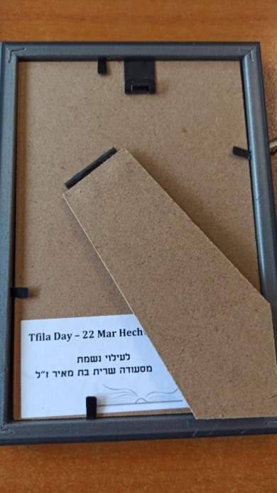 WhatsApp Image 2022-11-16 at 13.56.31