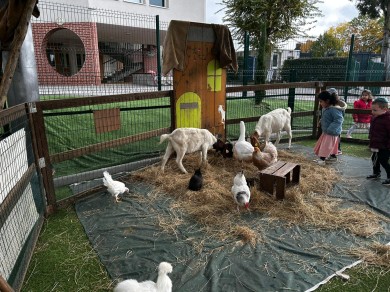 WhatsApp Image 2025-10-22 at 12.01.11