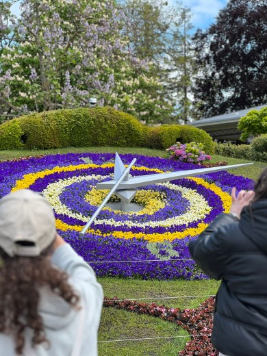 WhatsApp Image 2023-05-12 at 18.40.22