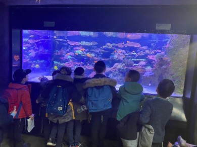 WhatsApp Image 2022-03-07 at 13.35.01 (1)