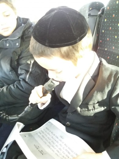 WhatsApp Image 2019-01-16 at 19.31.53