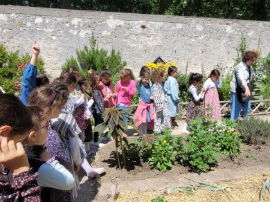 WhatsApp Image 2023-07-03 at 23.43.05 (7)