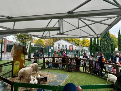 WhatsApp Image 2025-10-22 at 18.00.33 (1)