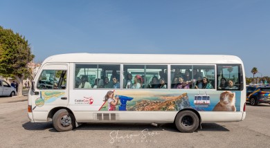 WhatsApp Image 2024-03-26 at 13.04.39