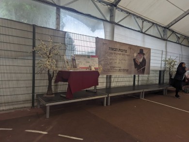 WhatsApp Image 2024-04-16 at 12.31.33