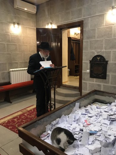 WhatsApp Image 2018-11-27 at 09.34.47 (1)