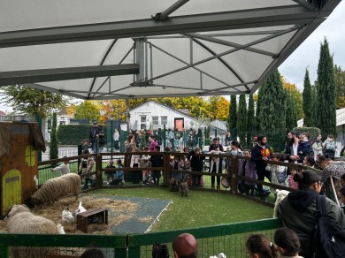 WhatsApp Image 2025-10-22 at 18.00.33