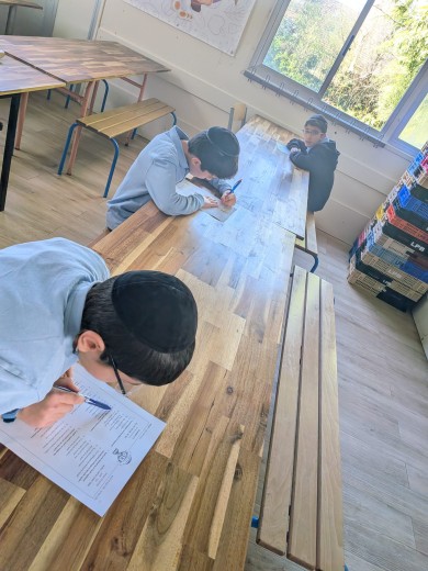 WhatsApp Image 2026-03-17 at 16.29.37