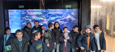 WhatsApp Image 2023-03-03 at 14.56.37