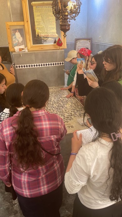 WhatsApp Image 2023-03-14 at 14.35.11