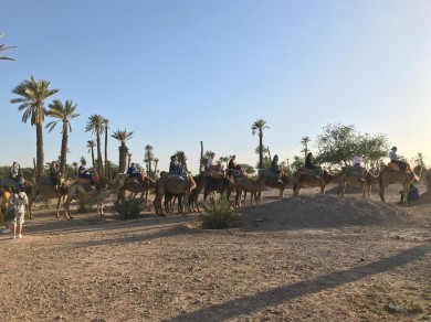 WhatsApp Image 2019-05-16 at 11.21.28