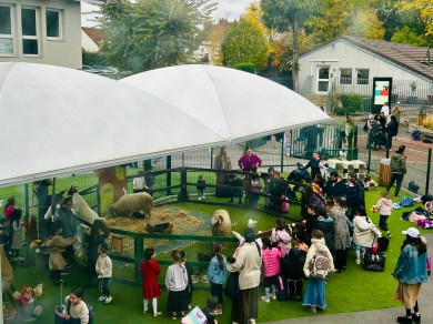 WhatsApp Image 2025-10-22 at 18.00.33 (2)