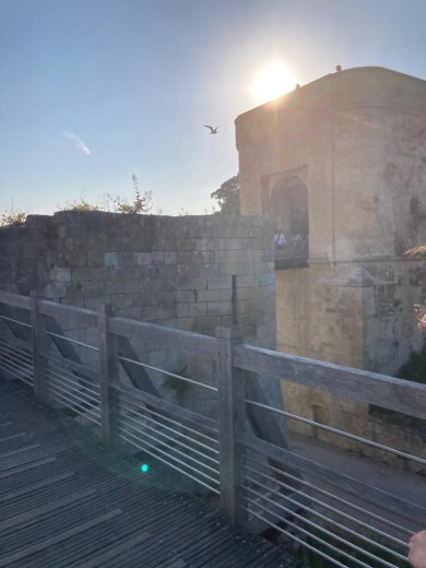 WhatsApp Image 2022-06-24 at 12.03.50 (4)