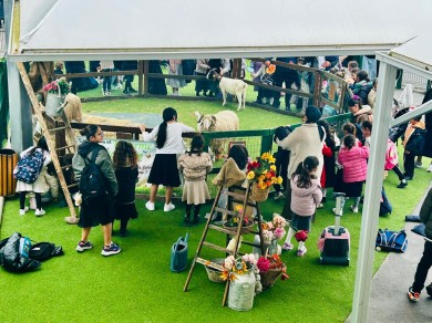 WhatsApp Image 2025-10-22 at 18.00.34