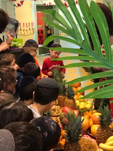 WhatsApp Image 2020-02-10 at 19.12.55 (2)