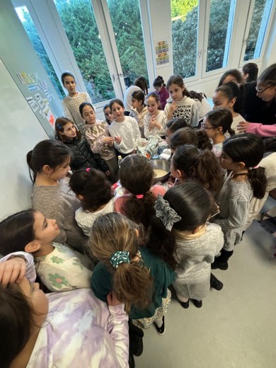 WhatsApp Image 2024-11-20 at 12.54.36