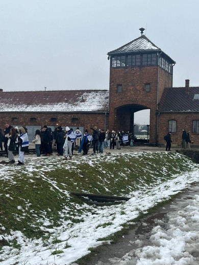 WhatsApp Image 2025-12-04 at 11.21.17 (2)