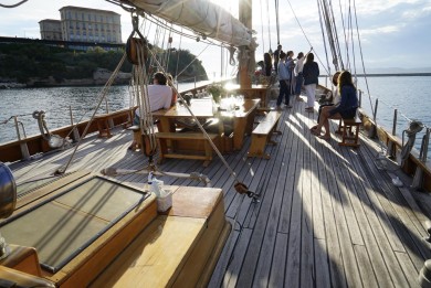 WhatsApp Image 2025-05-14 at 11.46.54