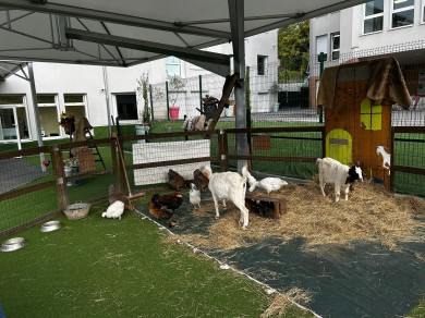 WhatsApp Image 2025-10-22 at 12.01.12 (2)