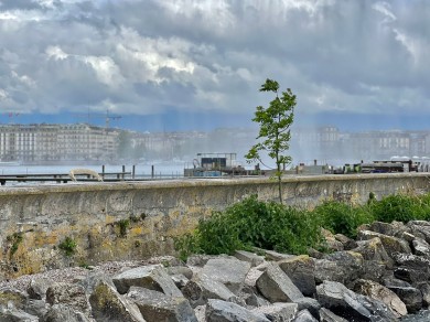 WhatsApp Image 2023-05-12 at 18.40.23 (1)