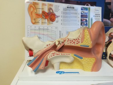 WhatsApp Image 2021-02-02 at 11.42.50 (1)