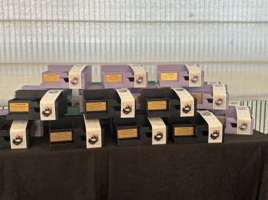 WhatsApp Image 2025-04-07 at 10.46.08 (3)