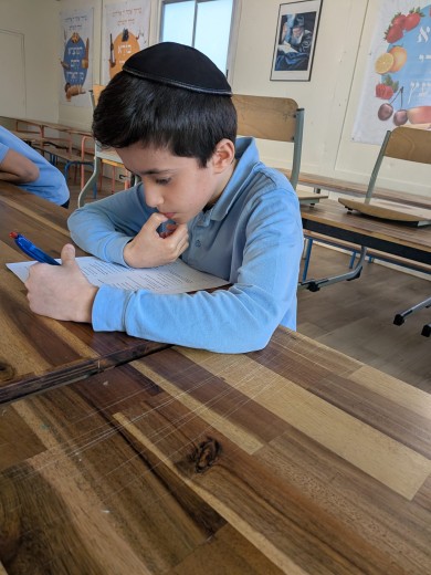 WhatsApp Image 2026-03-17 at 16.29.37 (2)