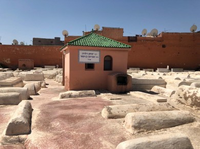 WhatsApp Image 2019-05-15 at 16.36.49