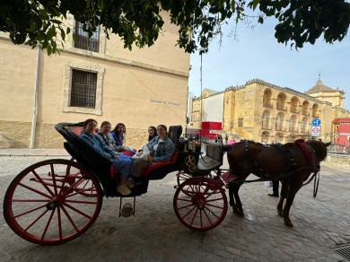 WhatsApp Image 2024-03-20 at 12.39.57