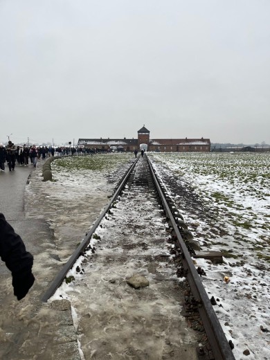 WhatsApp Image 2025-12-03 at 12.36.33