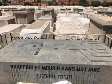 WhatsApp Image 2019-05-16 at 11.21.29