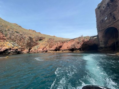 WhatsApp Image 2022-05-20 at 18.26.32