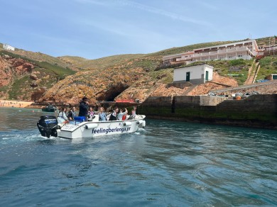 WhatsApp Image 2022-05-20 at 18.26.33 (1)