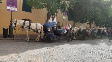 WhatsApp Image 2024-03-18 at 17.20.28