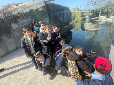 WhatsApp Image 2023-03-03 at 14.56.32