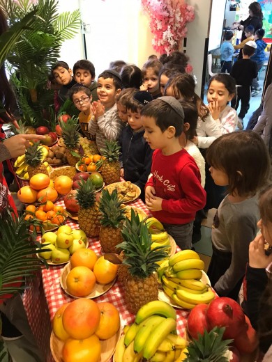 WhatsApp Image 2020-02-10 at 19.12.55 (1)