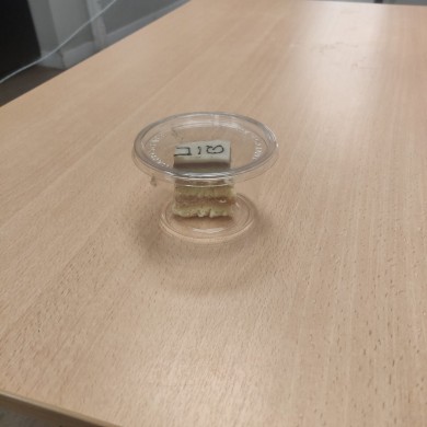 WhatsApp Image 2021-02-16 at 18.59.26 (1)