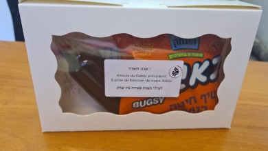 WhatsApp Image 2024-01-19 at 14.35.01