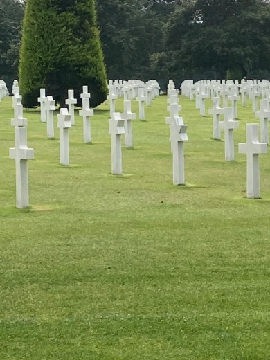 WhatsApp Image 2022-06-24 at 13.28.37 (2)