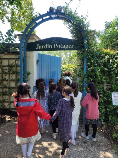 WhatsApp Image 2023-07-03 at 23.43.05 (12)