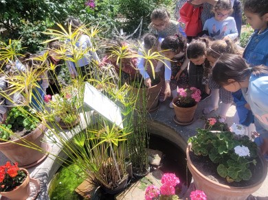 WhatsApp Image 2023-07-03 at 23.43.05 (6)