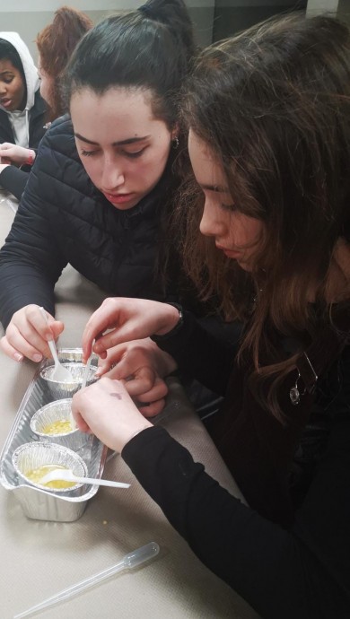 WhatsApp Image 2020-02-09 at 15.34.53