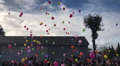 WhatsApp Image 2022-11-16 at 13.55.21