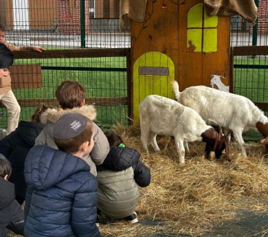 WhatsApp Image 2025-10-22 at 12.01.12 (1)