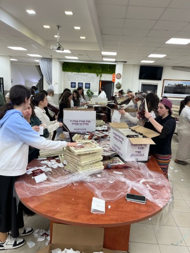 WhatsApp Image 2025-03-23 at 15.45.48