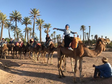 WhatsApp Image 2019-05-16 at 11.21.27