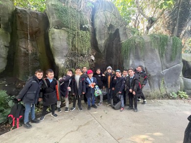 WhatsApp Image 2023-03-03 at 14.56.36