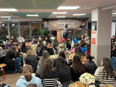 WhatsApp Image 2023-02-02 at 10.39.53