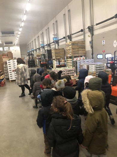 WhatsApp Image 2020-02-10 at 19.13.39